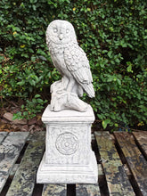 Load image into Gallery viewer, AGED STONE GARDEN SQUARE ROMAN PLINTH PEDESTAL AND Owl Statue Garden Ornament Set
