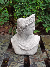Load image into Gallery viewer, Apollo Bust Statue |Stone colour  Flower pot  Lady Greek God Sculpture Stone Garden Ornament Art
