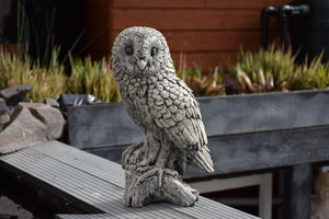 Owl Stone Statue Garden Ornament Concrete Barn Owl Reconstituted Stone