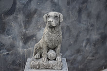 Load image into Gallery viewer, Stone Statue Of A Dog Labrador Retriever Garden Ornament Reconstituted Stone
