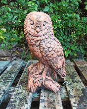 Load image into Gallery viewer, Terracotta Owl Stone Statue Garden Ornament Concrete Barn Owl Stone
