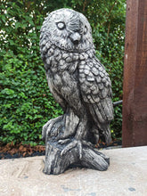 Load image into Gallery viewer, Black Wash Owl Stone Statue Garden Ornament Concrete Barn Owl Reconstituted Stone
