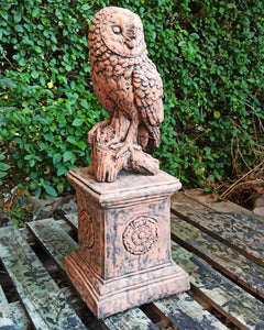 TERRACOTTA STONE GARDEN SQUARE PEDESTAL AND Owl Stone Statue Garden Ornament Set