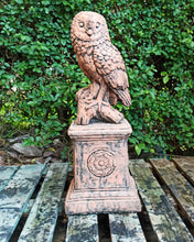 Load image into Gallery viewer, TERRACOTTA STONE GARDEN SQUARE PEDESTAL AND Owl Stone Statue Garden Ornament Set

