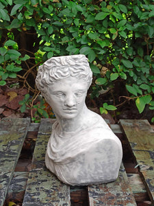 Apollo Bust Statue |Stone colour  Flower pot  Lady Greek God Sculpture Stone Garden Ornament Art