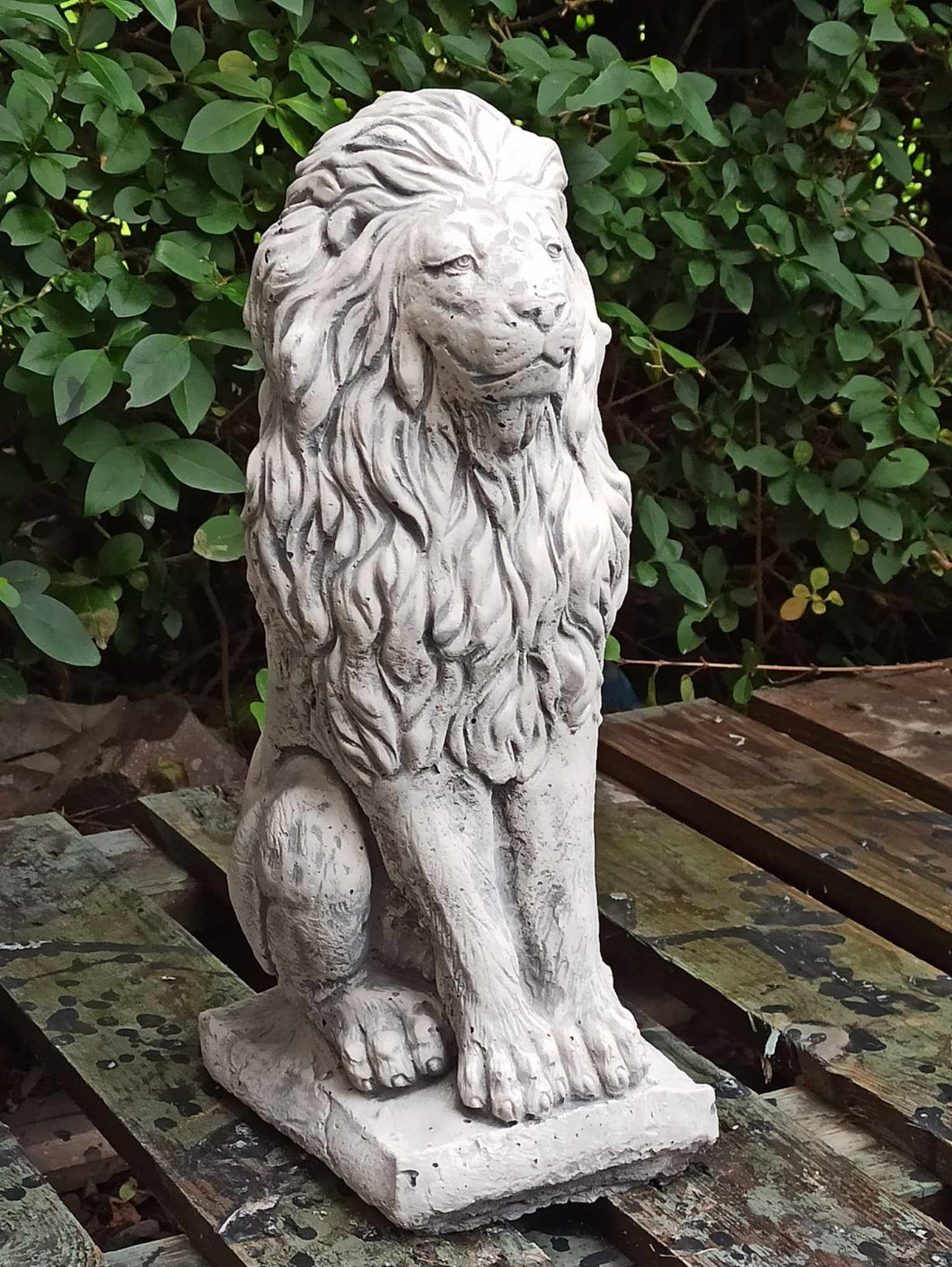 Upright Large Lion Statue Stone Concrete Animal Garden Ornament Stone Finish