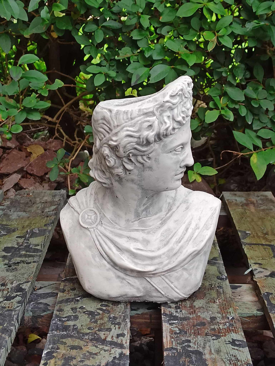 Apollo Bust Statue |Stone colour  Flower pot  Lady Greek God Sculpture Stone Garden Ornament Art