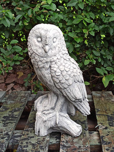 Owl Stone Statue Garden Ornament Concrete Barn Owl Reconstituted Stone Finish