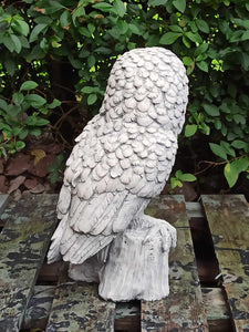 Owl Stone Statue Garden Ornament Concrete Barn Owl Reconstituted Stone Finish