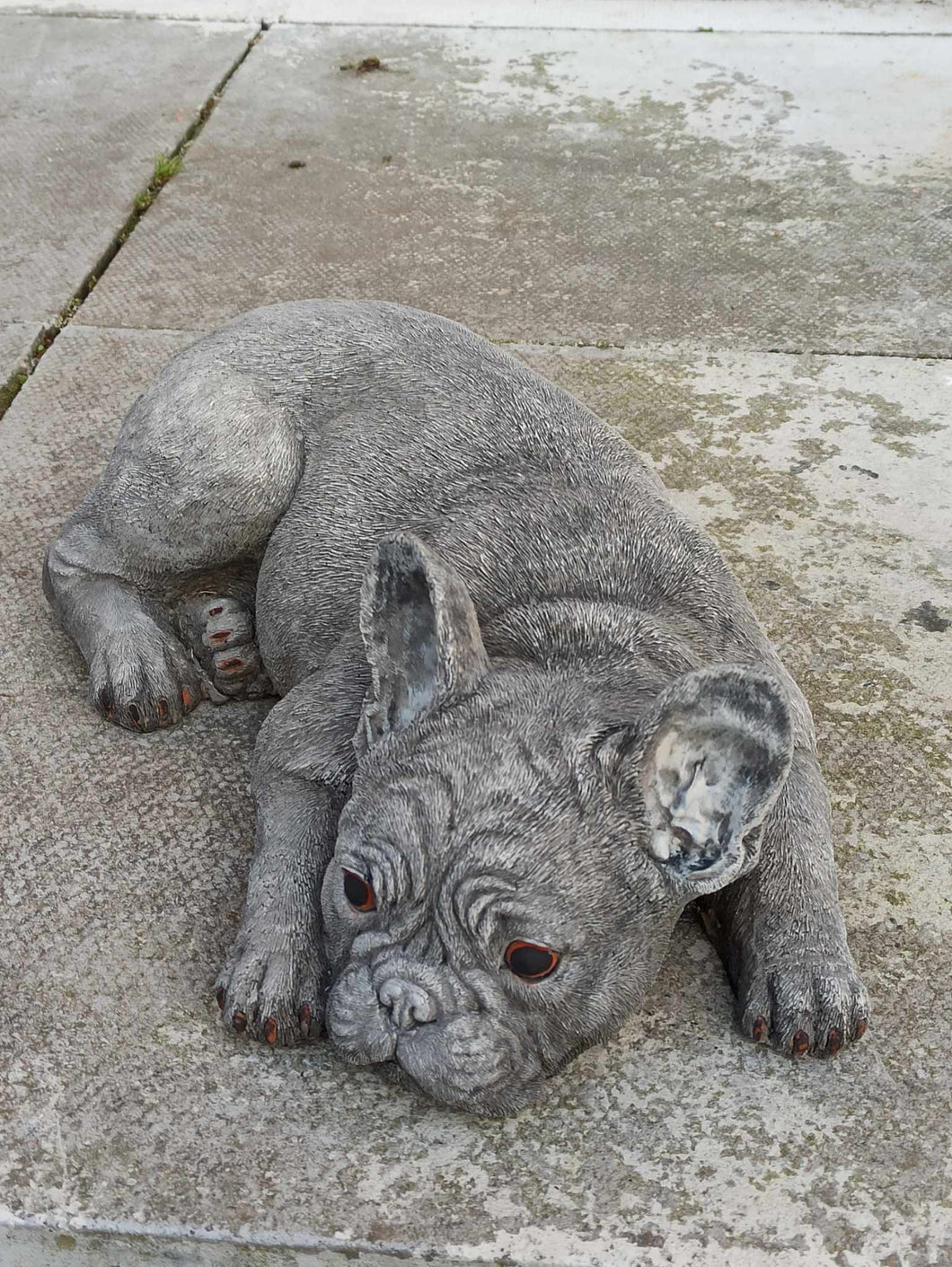 Stone French Bulldog Statue Frenchie Puppy Large Solid Statue Amazing Detail