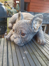 Load image into Gallery viewer, Stone French Bulldog Statue Frenchie Puppy Large Solid Statue Amazing Detail
