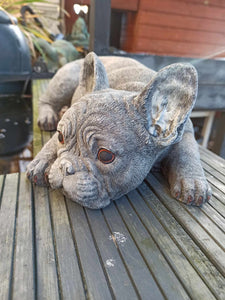 Stone French Bulldog Statue Frenchie Puppy Large Solid Statue Amazing Detail