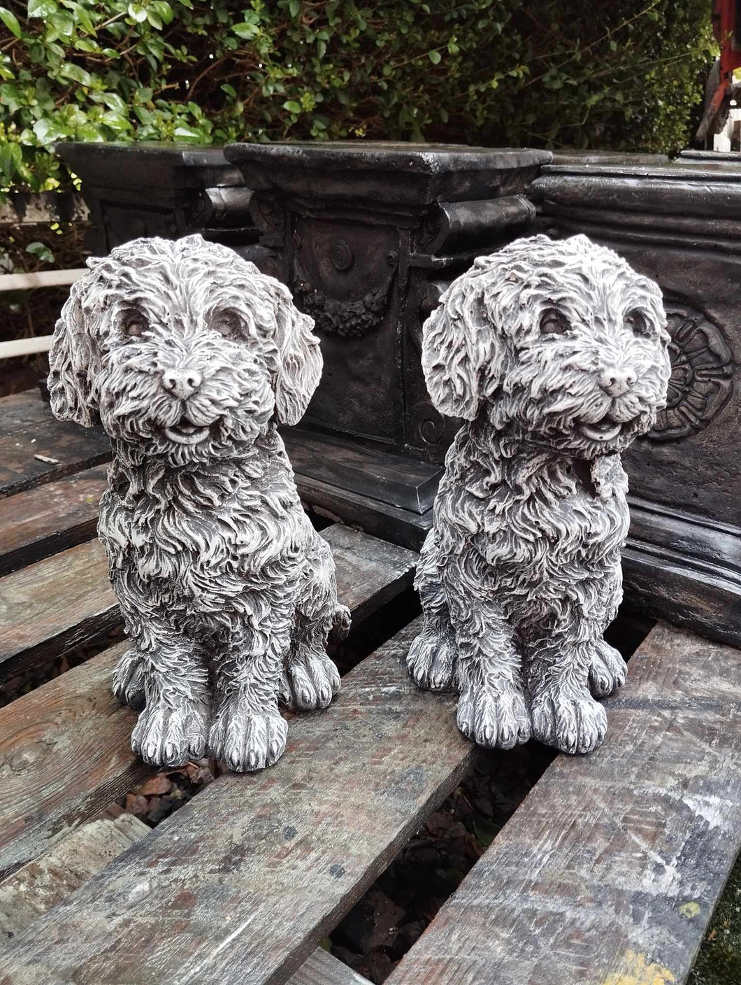 Stone Statue Of A Pair of toy poodle dogs  Garden Ornament Reconstituted Stone