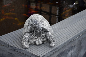 Turtle Stone Statue Garden Ornament Tortoise Reconstituted Stone