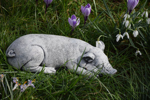 Stone Statue Of A Sleeping Pig Garden Ornament