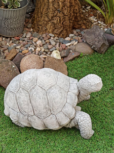 Turtle Stone Statue Garden Ornament Tortoise Reconstituted Stone Aged Finish