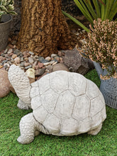 Load image into Gallery viewer, Turtle Stone Statue Garden Ornament Tortoise Reconstituted Stone Aged Finish
